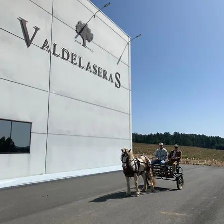 Valdelaseras
