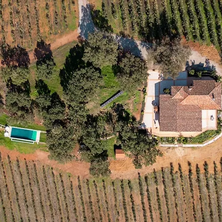 Villa Valdelaseras
